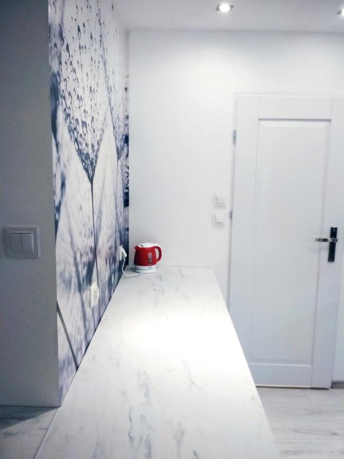 Apartament Ul Mlynowa I Parking Podziemny Bialystok Ngoại thất bức ảnh